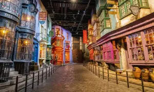 La ruelle animée des studios Harry Potter, avec ses boutiques colorées comme Ollivanders et Mr. Mulpepper's Apothecary, invite à l'aventure.