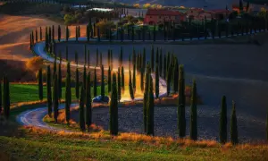 Une voiture roule sur une route sinueuse bordée de cyprès dans le Val d'Orcia toscan, baignée par la lumière dorée du soleil couchant.