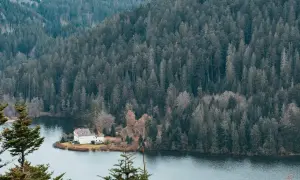 Maison blanche au bord d'un lac, entourée d'une forêt dense. Parfait pour des vacances dans les Vosges.