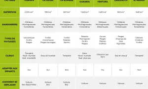 Tableau comparatif pour savoir que visiter aux Canaries : Tenerife, La Palma, La Gomera, Gran Canaria, Fuerteventura, Lanzarote, El Hierro.