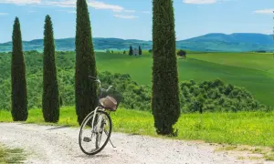 Vélo prêt pour une exploration de la Toscane à vélo, avec des cyprès élancés et des collines verdoyantes en arrière-plan.