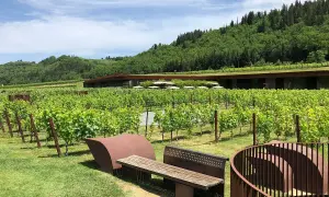Vignoble verdoyant à San Casciano in Val di Pesa, avec une architecture moderne intégrée à la colline. Bancs invitant à la contemplation.