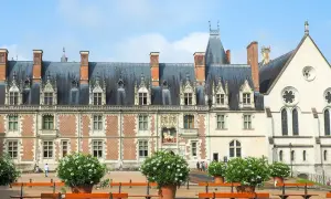 Magnifique château de Blois, idéal pour une visite culturelle. Architecture Renaissance et gothique.