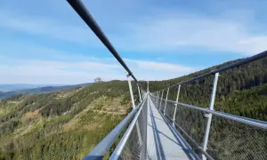 Le sky bridge 721 s'étire au-dessus d'une forêt verdoyante, offrant une vue imprenable sur les montagnes sous un ciel bleu clair.