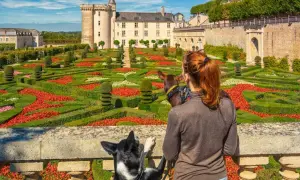 Visite château avec chien. Une femme et ses deux chiens admirent un jardin à la française coloré devant un château.