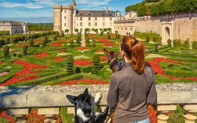 Visite château avec chien. Une femme et ses deux chiens admirent un jardin à la française coloré devant un château.