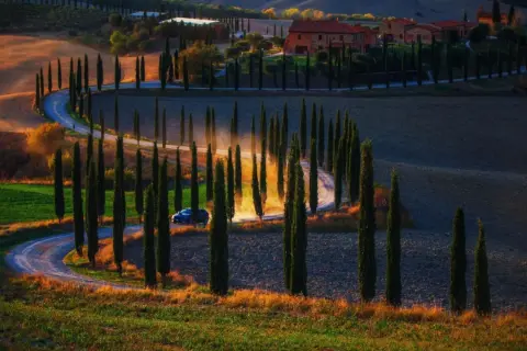 Une voiture roule sur une route sinueuse bordée de cyprès dans le Val d'Orcia toscan, baignée par la lumière dorée du soleil couchant.