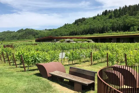 Vignoble verdoyant à San Casciano in Val di Pesa, avec une architecture moderne intégrée à la colline. Bancs invitant à la contemplation.