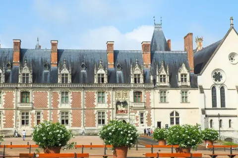 Magnifique château de Blois, idéal pour une visite culturelle. Architecture Renaissance et gothique.