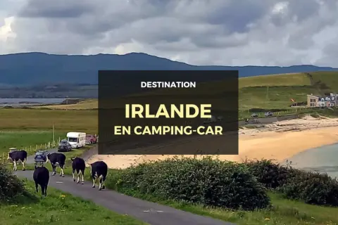 Vaches sur la route en Irlande, avec un camping-car garé près de la plage. Un paysage typique pour un voyage en camping-car en Irlande.
