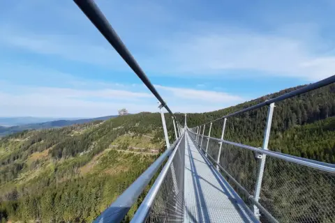 Le sky bridge 721 s'étire au-dessus d'une forêt verdoyante, offrant une vue imprenable sur les montagnes sous un ciel bleu clair.
