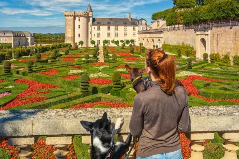 Visite château avec chien. Une femme et ses deux chiens admirent un jardin à la française coloré devant un château.