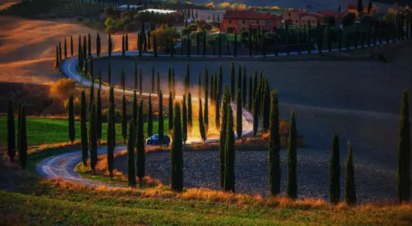 Une voiture roule sur une route sinueuse bordée de cyprès dans le Val d'Orcia toscan, baignée par la lumière dorée du soleil couchant.