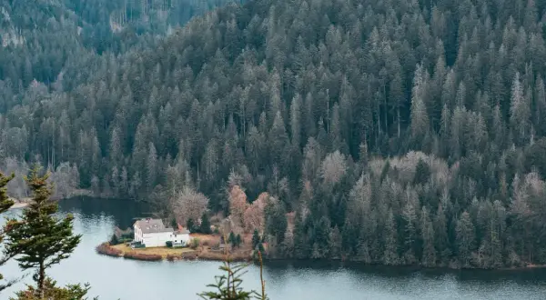 Maison blanche au bord d'un lac, entourée d'une forêt dense. Parfait pour des vacances dans les Vosges.