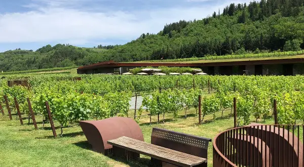 Vignoble verdoyant à San Casciano in Val di Pesa, avec une architecture moderne intégrée à la colline. Bancs invitant à la contemplation.