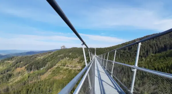 Le sky bridge 721 s'étire au-dessus d'une forêt verdoyante, offrant une vue imprenable sur les montagnes sous un ciel bleu clair.