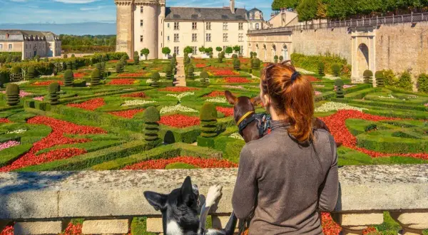 Visite château avec chien. Une femme et ses deux chiens admirent un jardin à la française coloré devant un château.