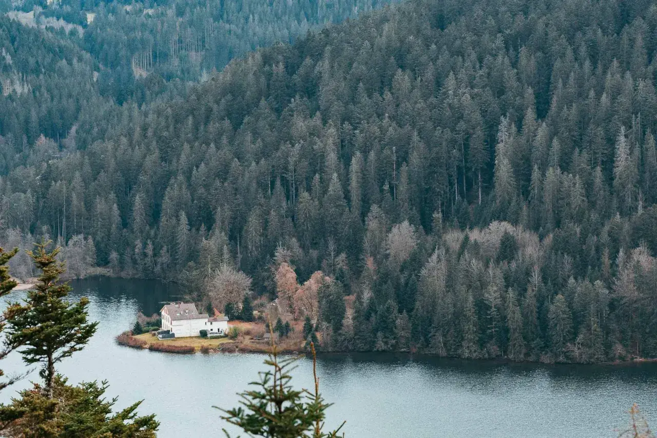 Maison blanche au bord d'un lac, entourée d'une forêt dense. Parfait pour des vacances dans les Vosges.