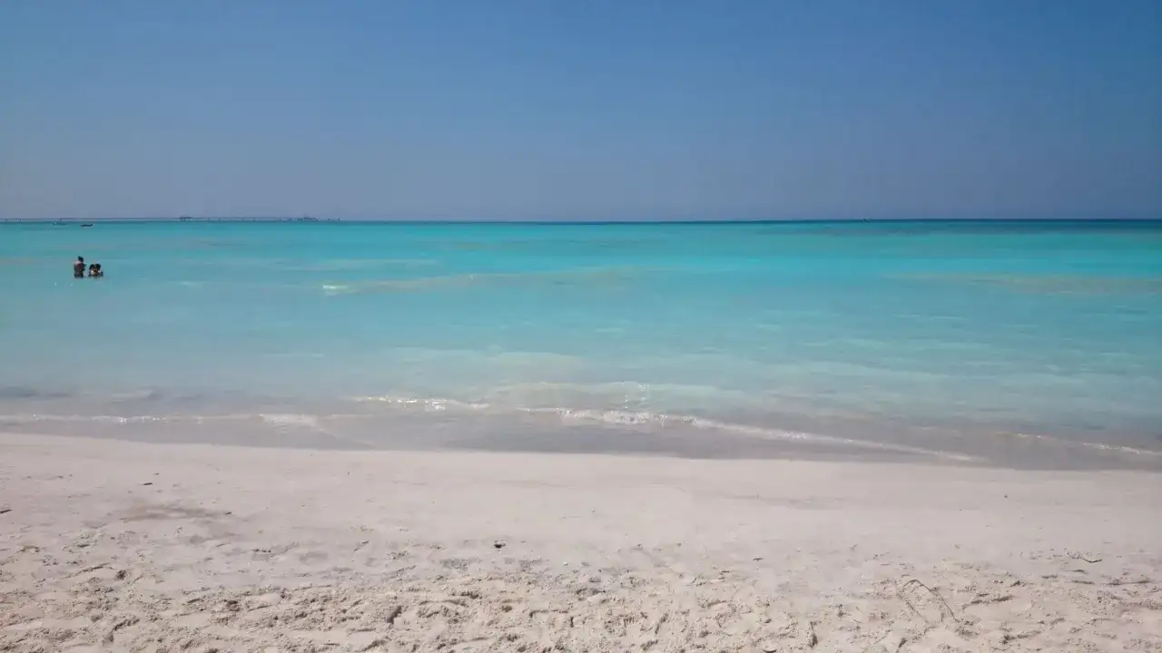 Plage de Rosignano Marittimo, mer turquoise et sable blanc. Deux personnes nagent paisiblement dans l'eau claire.