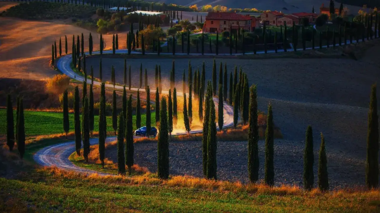Une voiture roule sur une route sinueuse bordée de cyprès dans le Val d'Orcia toscan, baignée par la lumière dorée du soleil couchant.