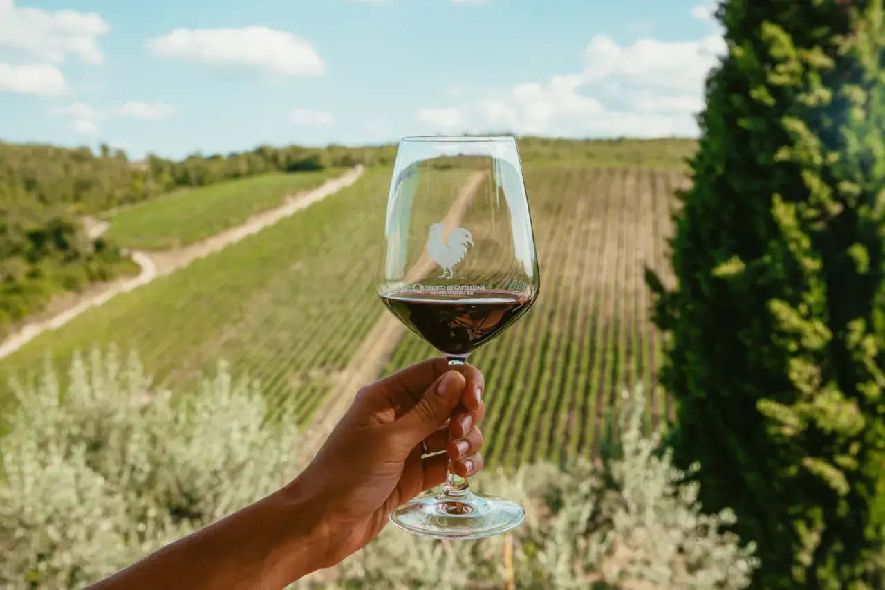 Verre de vin rouge, symbole du vin de Toscane, tenu devant un vignoble verdoyant sous un ciel bleu.