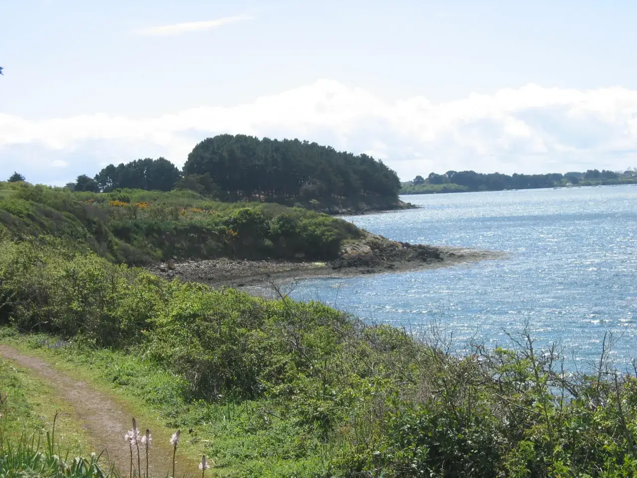 Un sentier serpente à travers la végétation luxuriante menant à la côte rocheuse. Parfait pour un week-end au Golfe du Morbihan.