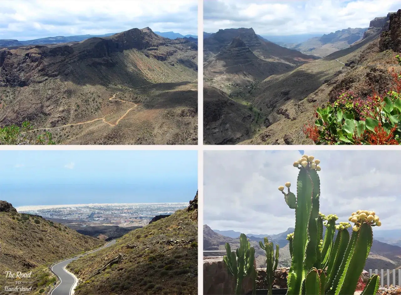 Paysages arides et cactus, parfaits pour savoir que visiter aux Canaries. La route serpente vers la côte.