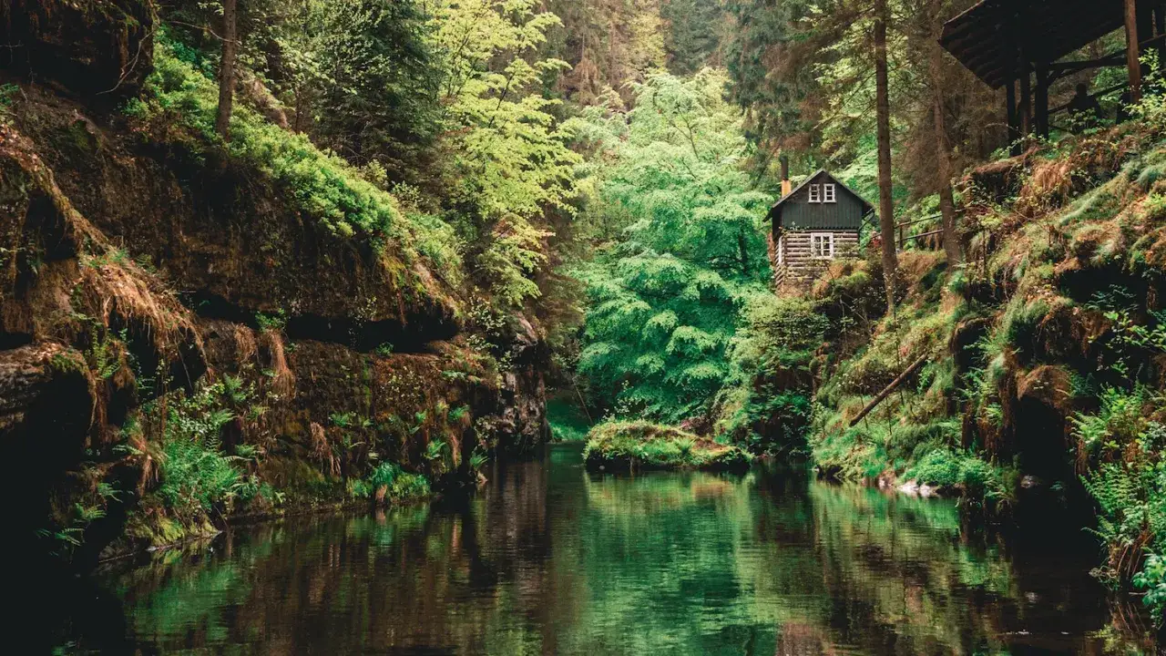 Cabane isolée au bord d'une rivière paisible, entourée de falaises verdoyantes et d'arbres luxuriants. Un lieu idéal pour visiter la République Tchèque et s'évader.