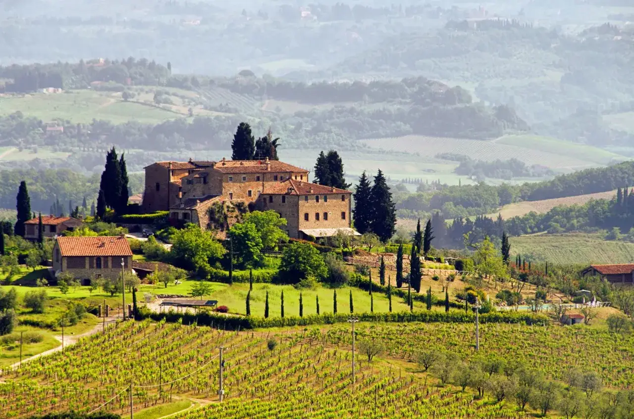 Vue d'un vignoble dans la province de Florence, avec une ferme toscane perchée sur une colline verdoyante.