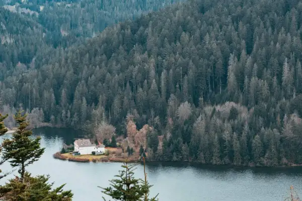 Maison blanche au bord d'un lac, entourée d'une forêt dense. Parfait pour des vacances dans les Vosges.