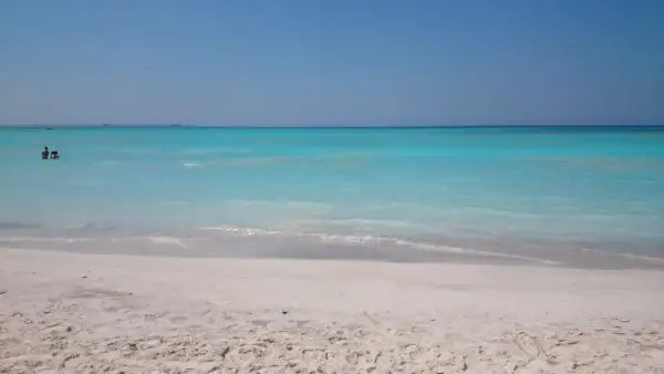 Plage de Rosignano Marittimo, mer turquoise et sable blanc. Deux personnes nagent paisiblement dans l'eau claire.