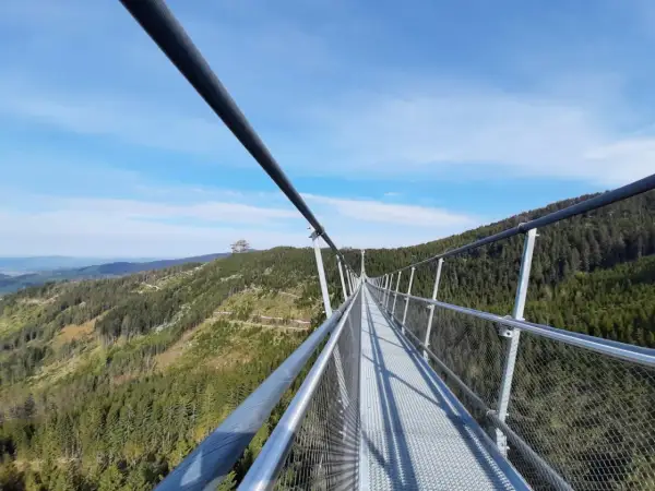 Le sky bridge 721 s'étire au-dessus d'une forêt verdoyante, offrant une vue imprenable sur les montagnes sous un ciel bleu clair.