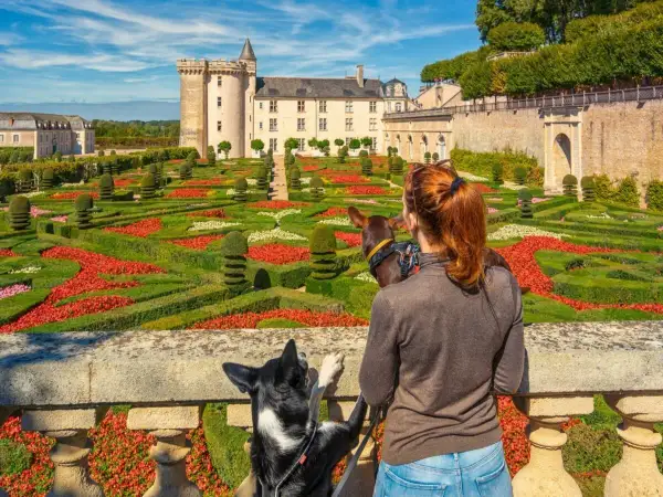 Visite château avec chien. Une femme et ses deux chiens admirent un jardin à la française coloré devant un château.